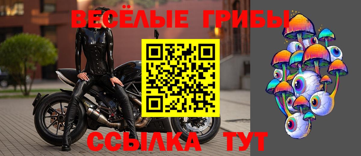 Галлюциногенные грибы Psilocybine cubensis Ленинск-Кузнецкий