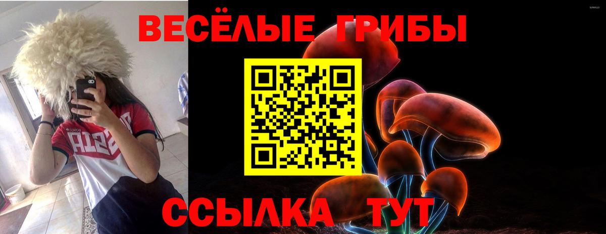 Галлюциногенные грибы Psilocybe  Вход с VPN  Ленинск-Кузнецкий 