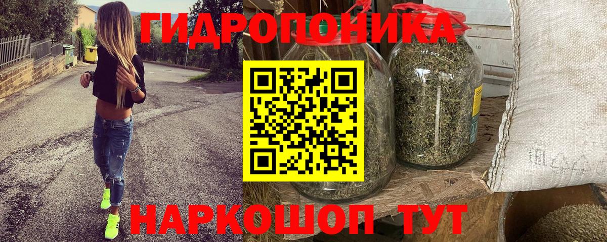 Бошки Шишки планчик Ленинск-Кузнецкий